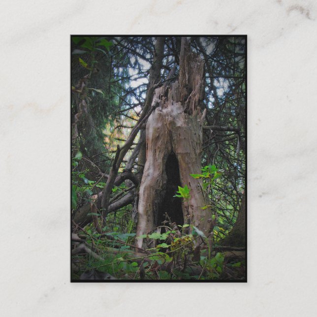 Cartão De Visita Quem vive aqui? ATC (Frente)