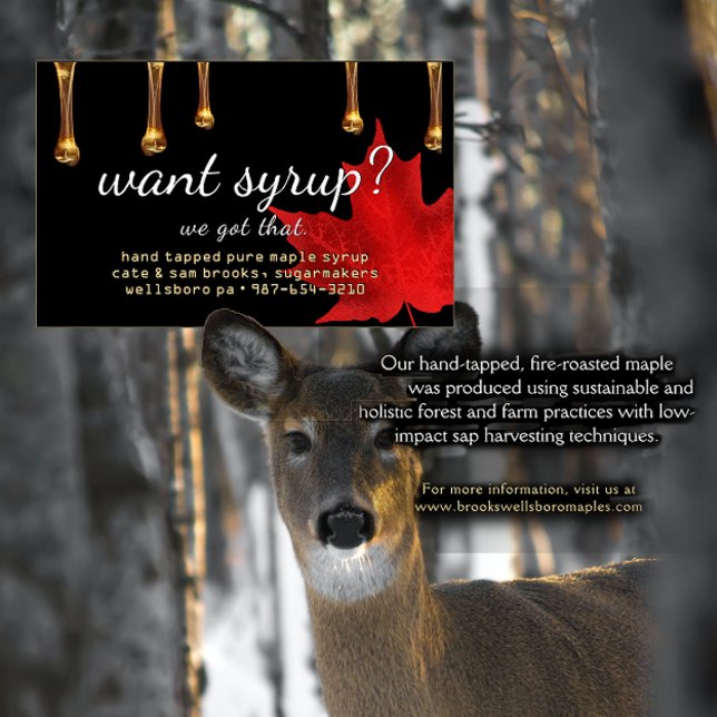 Cartão De Visita Quer Xarope? Conseguimos! Unidades âmbar em preto (Criador carregado)