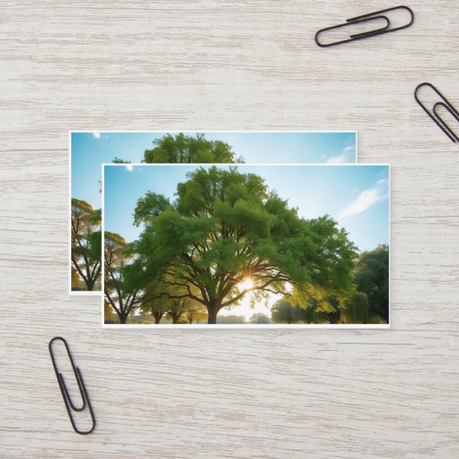 Cartão De Visita Quiet Time With a Big Tree  (Frente/Verso In Situ)