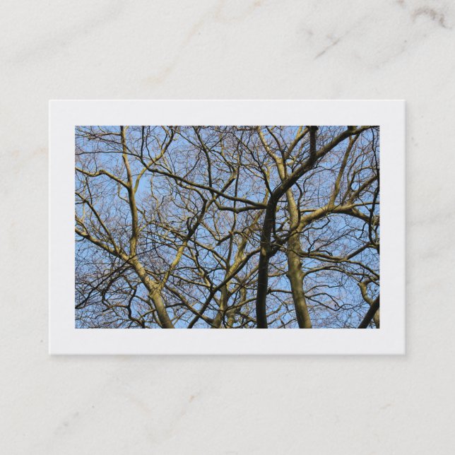 Cartão De Visita Ramais (Bordados) (Frente)