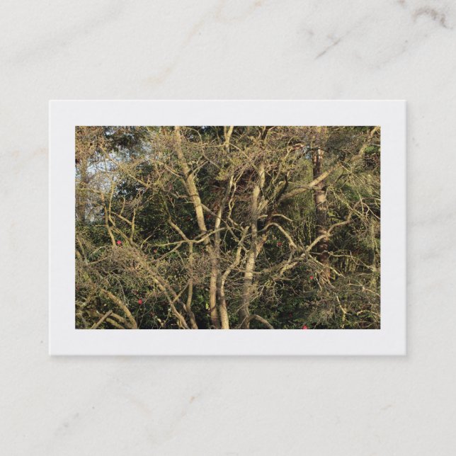 Cartão De Visita Ramificações de ouro (delimitadas) (Frente)