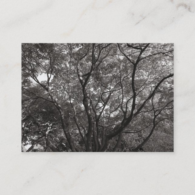 Cartão De Visita Ramificações Japonesas 02 (Frente)