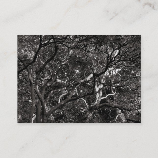 Cartão De Visita Ramificações Japonesas 03 (Frente)