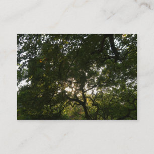 Cartão De Visita Ramificações Japonesas 04