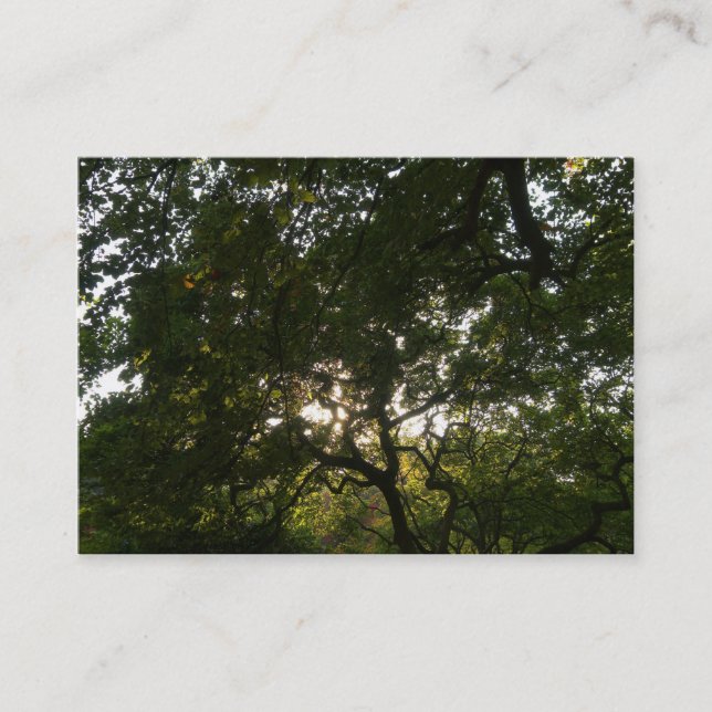 Cartão De Visita Ramificações Japonesas 04 (Frente)