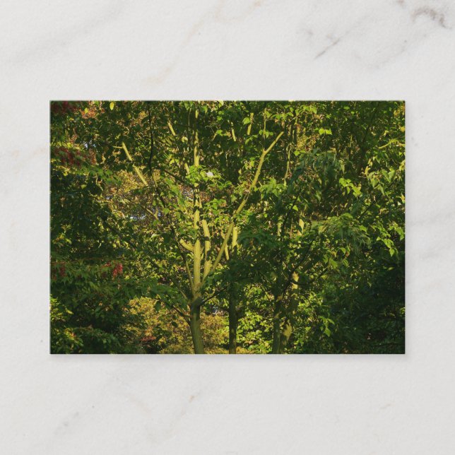 Cartão De Visita Ramificações Japonesas 05 (Frente)