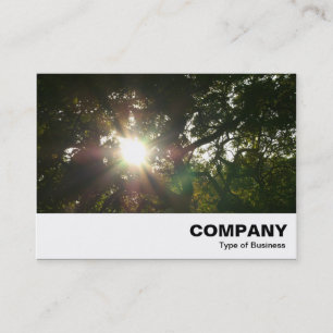 Cartão De Visita Ramificações Japonesas 07