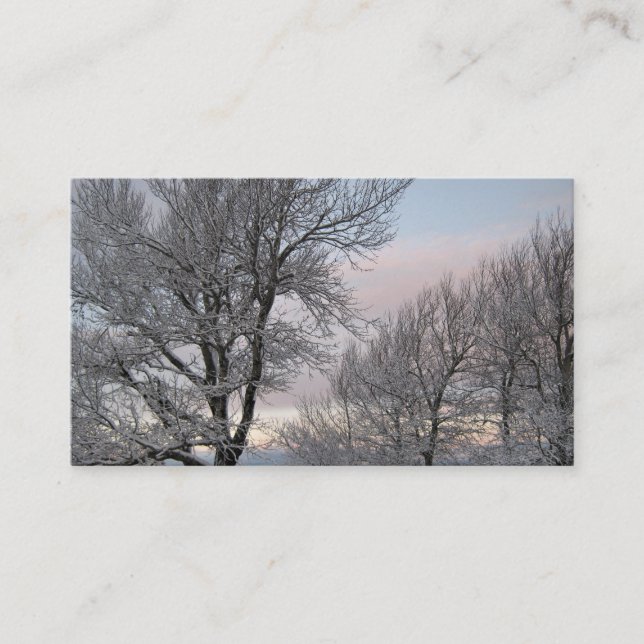 Cartão De Visita Ramos cobertos de neve (Frente)