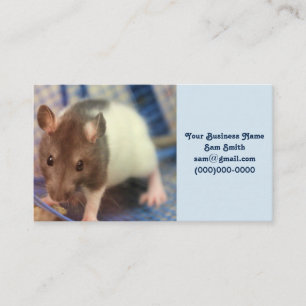 Cartão De Visita Rato de bebê