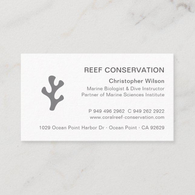 Cartão De Visita Recife de coral profissional de Cinzas Elegante mo (Frente)