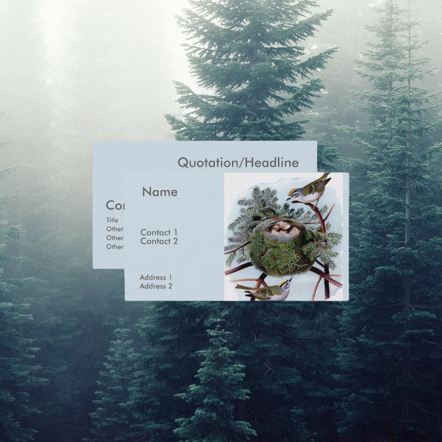 Cartão De Visita regulus satrapa (Criador carregado)