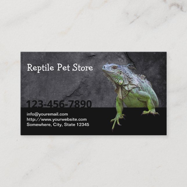 Cartão De Visita Réptil Pet Store Iguana Lizard (Frente)