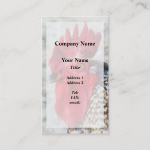 Cartão De Visita Retrato de um Galo