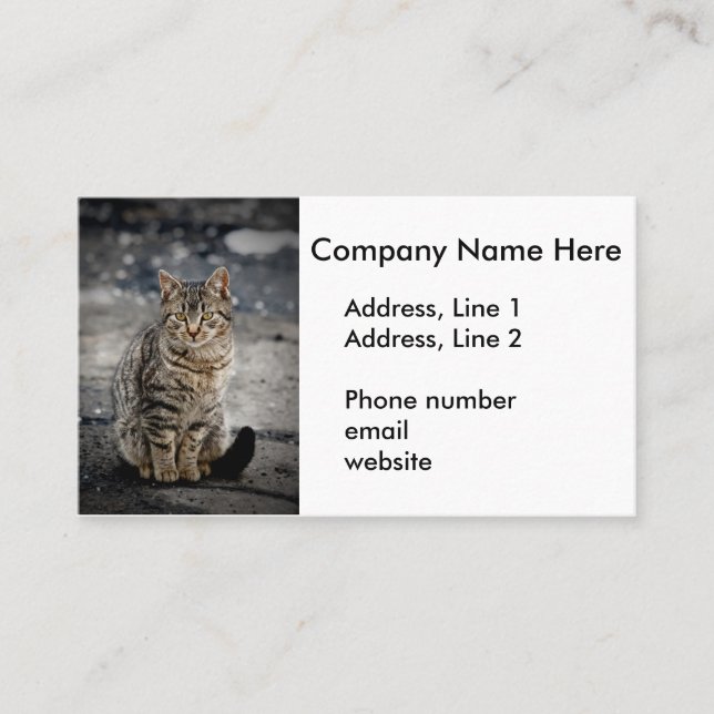 Cartão De Visita Retrato de um gato (Frente)