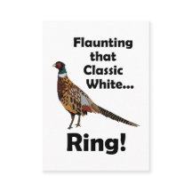 Ring-necked Pheasant Flaunting White Ring Wildlife