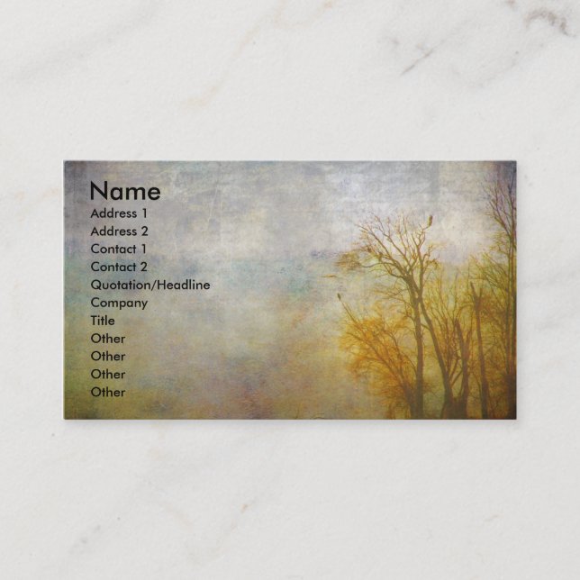 Cartão De Visita Rio Mississippi (Frente)