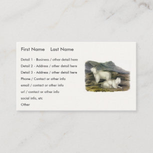 Cartão De Visita Rocky Mountain Goat (Americana de Capra por Audubo