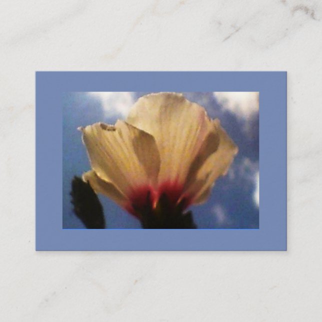 Cartão De Visita Rosa branca azul-céu (Frente)