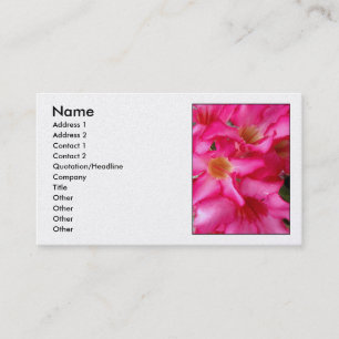 Cartão De Visita Rosa de deserto