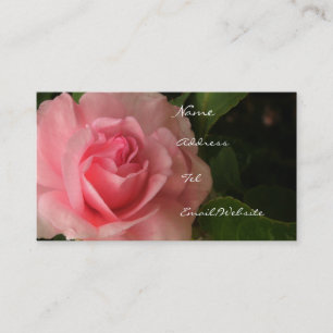 Cartão De Visita Rosa rosado