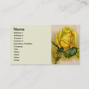 Cartão De Visita Rosa Trabalho de arte Impressão de Belas Arte Ama