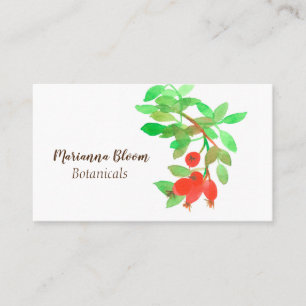 Cartão De Visita Rosehips Rosa Herb Plantas Botânicas Vermelho