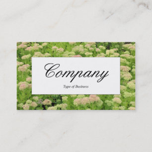 Cartão De Visita Rótulo central - Sedum (Alegria de outono)