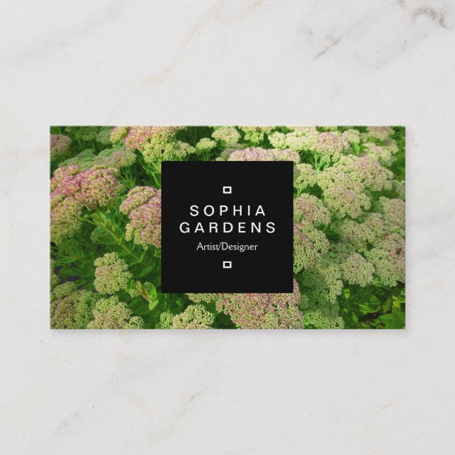 Cartão De Visita Rótulo Quadrado 01a - Sedum Autumn Joy (Frente)