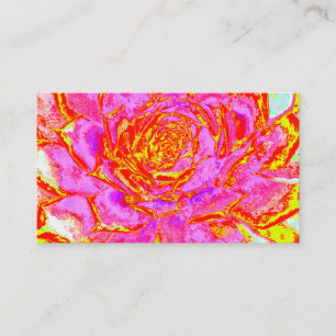 Cartão De Visita Roxo Quente, Vermelho e Amarelo Suculento Sedum Ro