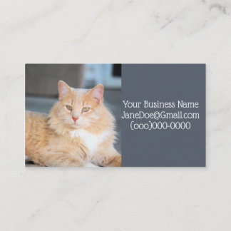 Cartão De Visita Ruffles