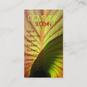 Cartão De Visita Rústico