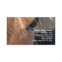 Sapato de Cavalo Acres