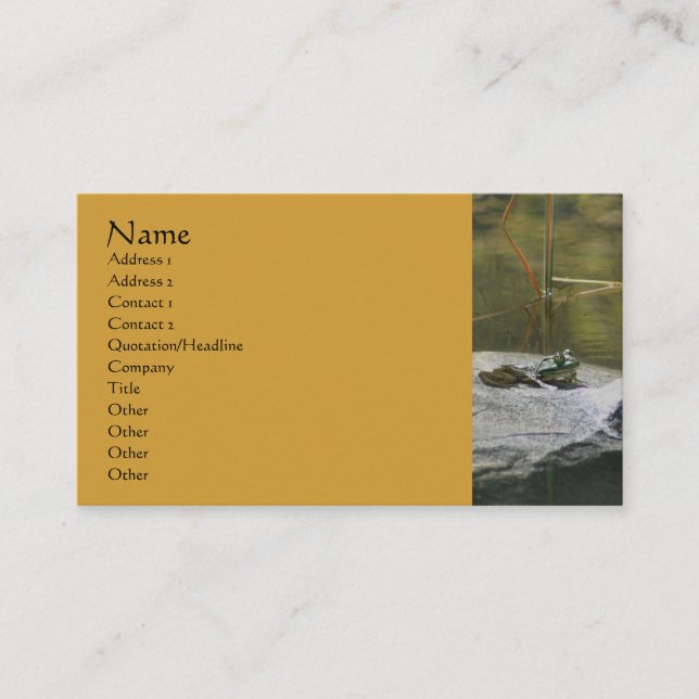 Cartão De Visita Sapo De Fotografia Rock Nature (Frente)