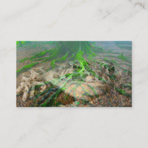 Cartão De Visita Sapo Mossy
