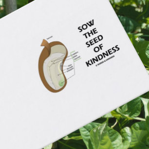 Cartão De Visita Semeie a semente da bondade (a semente do feijão