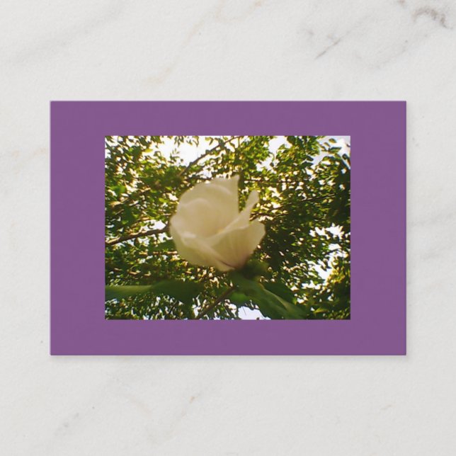 Cartão De Visita Semi Gloss White Rose Bloom (Frente)