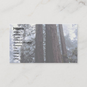 Cartão De Visita Sequoias costeiras, Lady Bird Johnson Grove, Calif