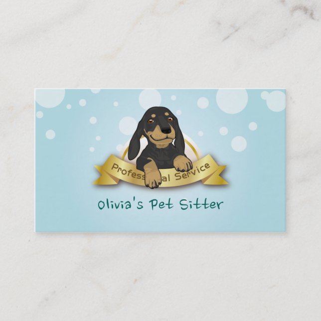 Cartão De Visita Serviço de assento do animal de estimação azul (Frente)