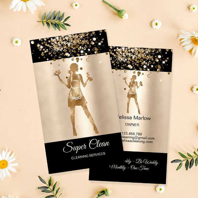 Cartão De Visita Serviços de limpeza profissional de casas de limpe (Criador carregado)