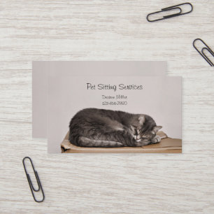 Cartão De Visita Serviços de Pet Sitter, Tosa de Gatos e Passeio de