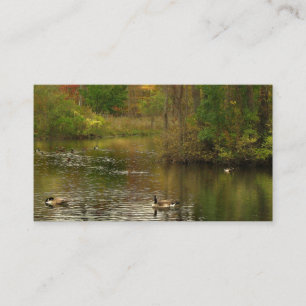 Cartão De Visita Serviços Pond