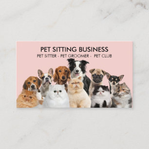 Cartão De Visita Sessões de Fotos de Cachorro Gato Pet Fofo Rosa