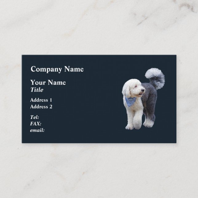 Cartão De Visita Sheepadoodle Com Cachecol Xadrez Azul (Frente)