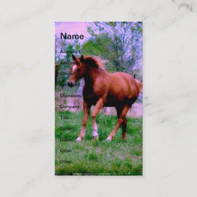 Cartão De Visita Sonhos primavera, Sorrel Trotting (Frente)