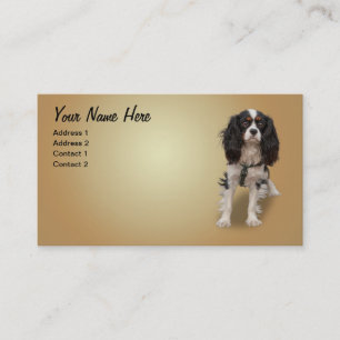 CARTÃO DE VISITA SPANIEL