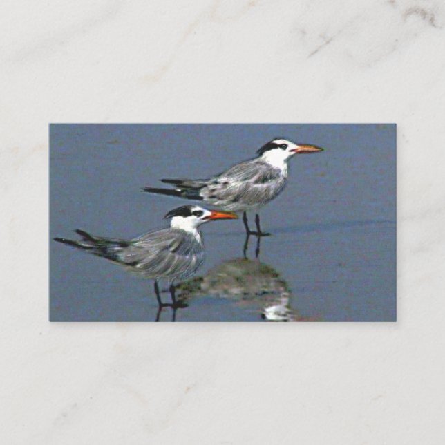 Cartão De Visita Standard, Business Card See You at the Beach jGibn (Frente)