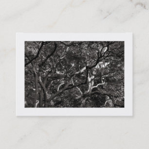 Cartão De Visita Sucursais japonesas 03 (delimitadas)