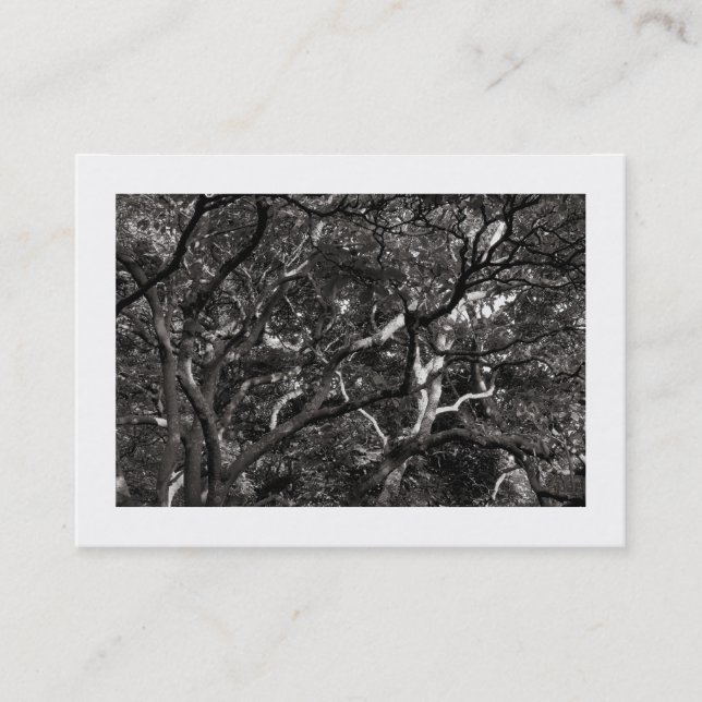 Cartão De Visita Sucursais japonesas 03 (delimitadas) (Frente)