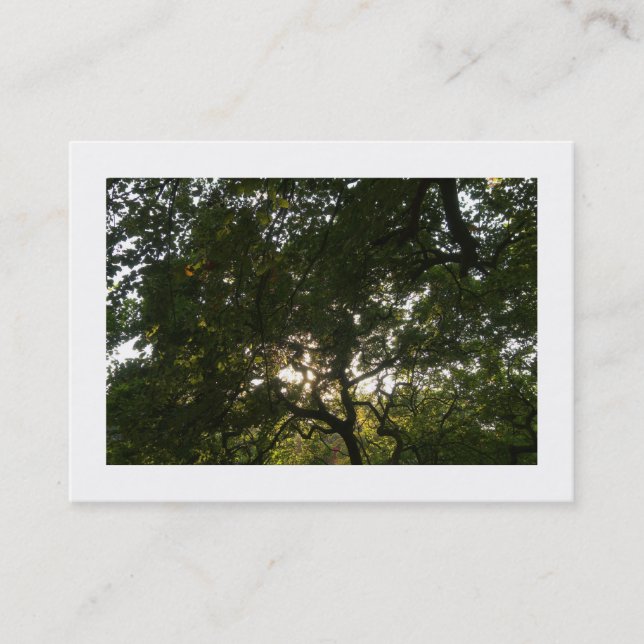 Cartão De Visita Sucursais japonesas 04 (delimitadas) (Frente)