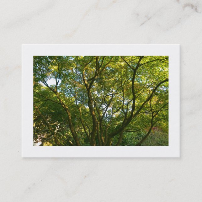 Cartão De Visita Sucursais japonesas 06 (delimitadas) (Frente)